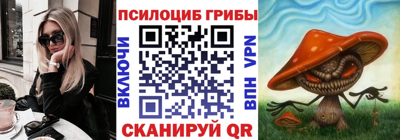 ссылка на мегу ссылка Фурманов Псилоцибиновые грибы Psilocybine cubensis